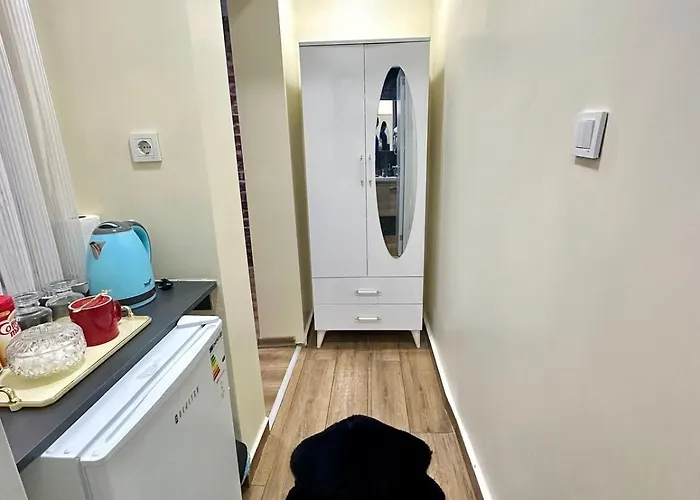 ホテル Golden Boutique Taksim 3*